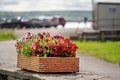 Red wooden flowerbed with colorful flowers of different types in a public garden, car park out of focus in the background. Summer Royalty Free Stock Photo