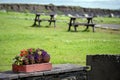 Red wooden flowerbed with colorful flowers of different types in a public garden picnic tables out of focus on the background. Royalty Free Stock Photo