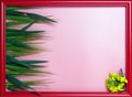 Red wooden picture frame decorated with small yellow flowers, green leaves and wheat heads on pink background Royalty Free Stock Photo