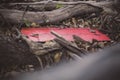 A Red Wooden Plank Nestled Among Fallen Trees in Jester Park, Iowa