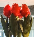 Red Wooden Tulips flowers Royalty Free Stock Photo
