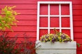 Red wooden wall with white window decorated with Geranium flowers Royalty Free Stock Photo