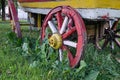 Red wooden wheel of an old cart in green grass Royalty Free Stock Photo