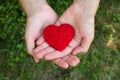Red woolen heart in a human hand, valentines day, love Royalty Free Stock Photo
