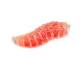 Red worm of maggots on a white background Royalty Free Stock Photo