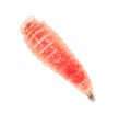 Red worm of maggots on a white background Royalty Free Stock Photo