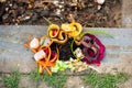 Vermicomposting organic food scraps for the plants