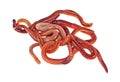 Red worms on white background Royalty Free Stock Photo