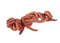 Red worms on a white background Royalty Free Stock Photo