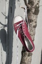 Red worn sneaker Royalty Free Stock Photo