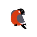 Red Xmas bird. Bullfinch vector illustration