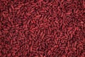 Red yeast rice