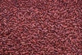 Red Yeast Rice (Hongqu), Royalty Free Stock Photo