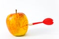 Red-yellow apple Royalty Free Stock Photo