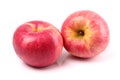 Red yellow apple Royalty Free Stock Photo