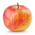 Red yellow apple Royalty Free Stock Photo