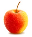 Red yellow apple Royalty Free Stock Photo