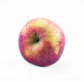 Red - yellow apple on a white background - side view Royalty Free Stock Photo