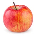 Red yellow apple Royalty Free Stock Photo