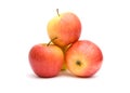 Red-yellow apples Royalty Free Stock Photo