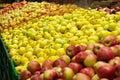 Red and yellow apples background.Raw fruit backgrounds overhead perspective. Healthy organic apple food. Selective focus.