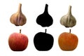 Red yellow apples and garlic vector