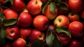 Red with yellow apples with green leafs close up. Apples with droplets of water.. Photo AI generated
