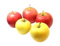 Red and yellow apples isolated on a white background. Royalty Free Stock Photo