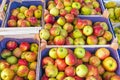 Red and yellow apples for sale Royalty Free Stock Photo