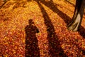 Red yellow autumn maple leaves covered ground with human shadow Royalty Free Stock Photo