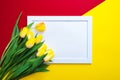 Red-yellow background, white frame with white background and yellow tulips Royalty Free Stock Photo