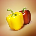Red and yellow bell peppers Royalty Free Stock Photo