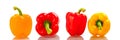 Red and yellow bell peppers Royalty Free Stock Photo