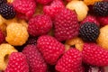 Red, yellow and black raspberries, berries background. Summer texture Royalty Free Stock Photo