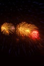 Red, yellow and blue fireworks against a black sky. Royalty Free Stock Photo