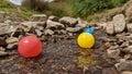 Red yellow and blue plastic balls floating down the stream Royalty Free Stock Photo