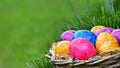 Colorful painted easter eggs in basket outside in spring, copy space Royalty Free Stock Photo