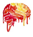 Red and yellow brain with paint smudges