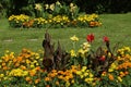 Red and yellow canna flower in a garden Royalty Free Stock Photo