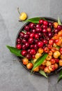 Red and yellow cherry with leaves on black plate Royalty Free Stock Photo