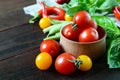 Red and yellow cherry tomatoes among the basil leaves Royalty Free Stock Photo