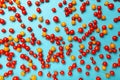Red and yellow cherry tomatoes on blue background. Fresh bright organic vegetables Royalty Free Stock Photo
