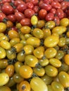 Red and yellow cherry tomatoes. It is food for people who love health. Royalty Free Stock Photo