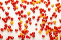 Red and yellow cherry tomatoes isolated on white background. Fresh bright organic vegetables Royalty Free Stock Photo