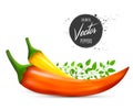 Red and yellow chili peppers with greenery. Vegetables with splashes and drops of on white background. Vector illustration