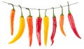 Red yellow chilli peppers isolated on white Royalty Free Stock Photo