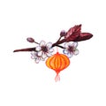 Red and yellow chinese lanterns and cherry flowers Royalty Free Stock Photo