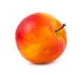 A red-yellow color apple Royalty Free Stock Photo