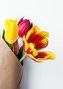 Red and Yellow Colored Tulip Flowers on Royalty Free Stock Photo