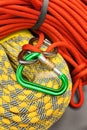 Red and yellow dynamic ropes and attached carabiner. Royalty Free Stock Photo